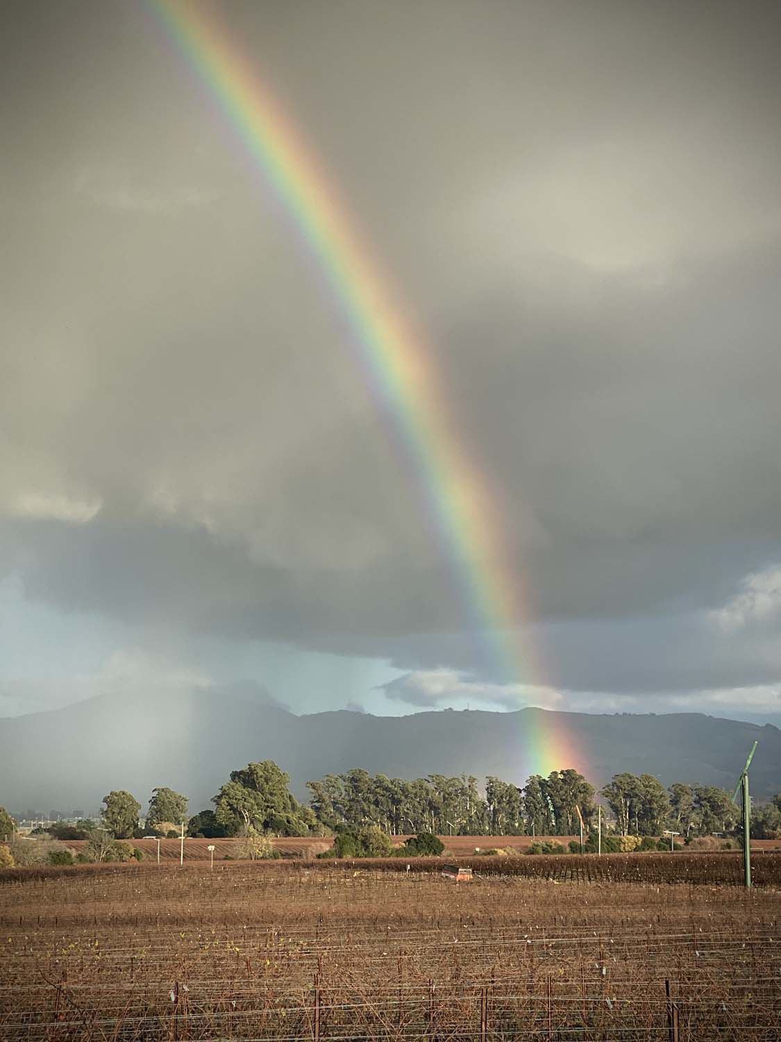 Photos: Faces and Places, January 26